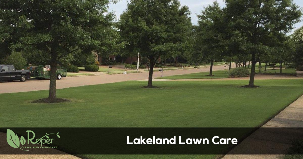 Lakeland Lawn Care & Landscaping Service