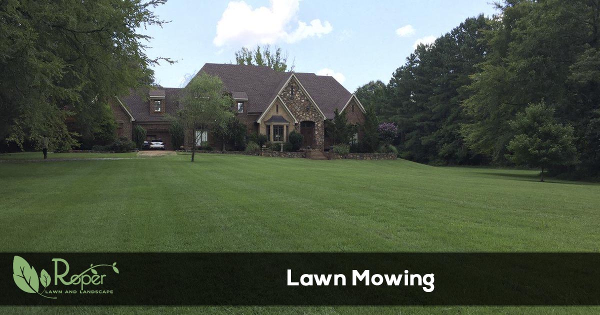 Lawn mowing service