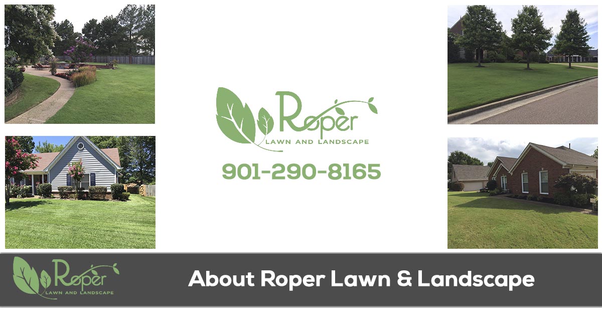 About Roper Lawn & Landscape in Memphis TN