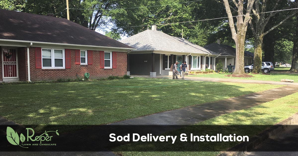 landscape mulch installation service