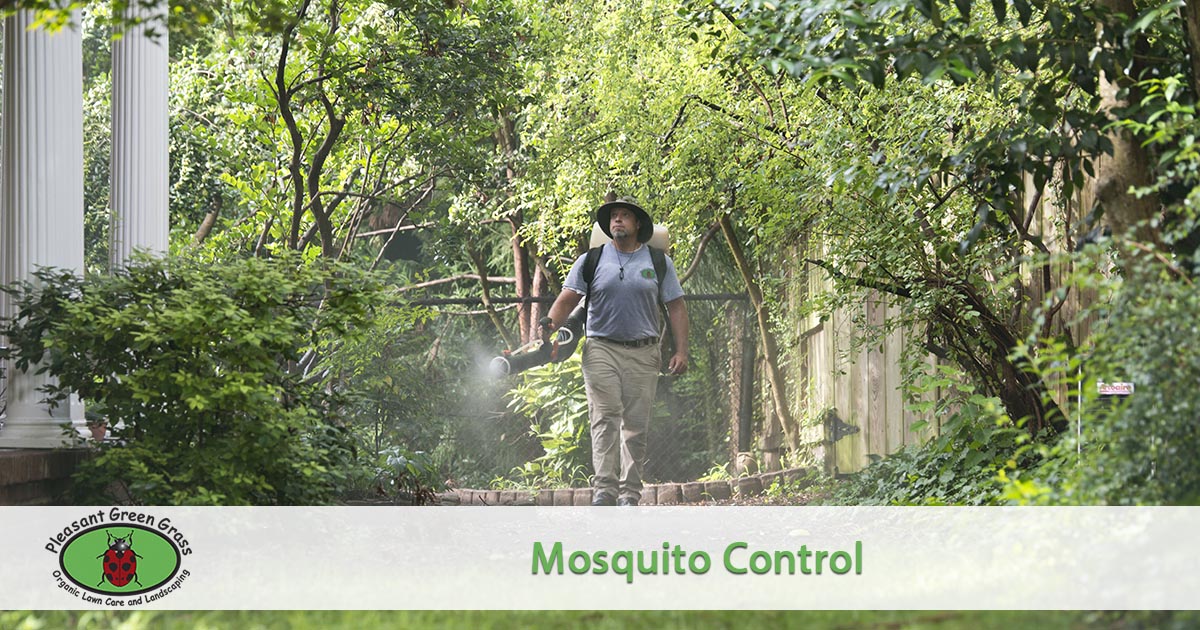 mosquito spraying