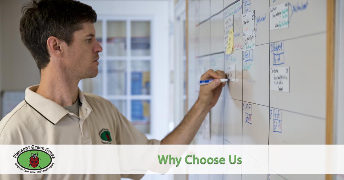 Why Choose Pleasant Green Grass