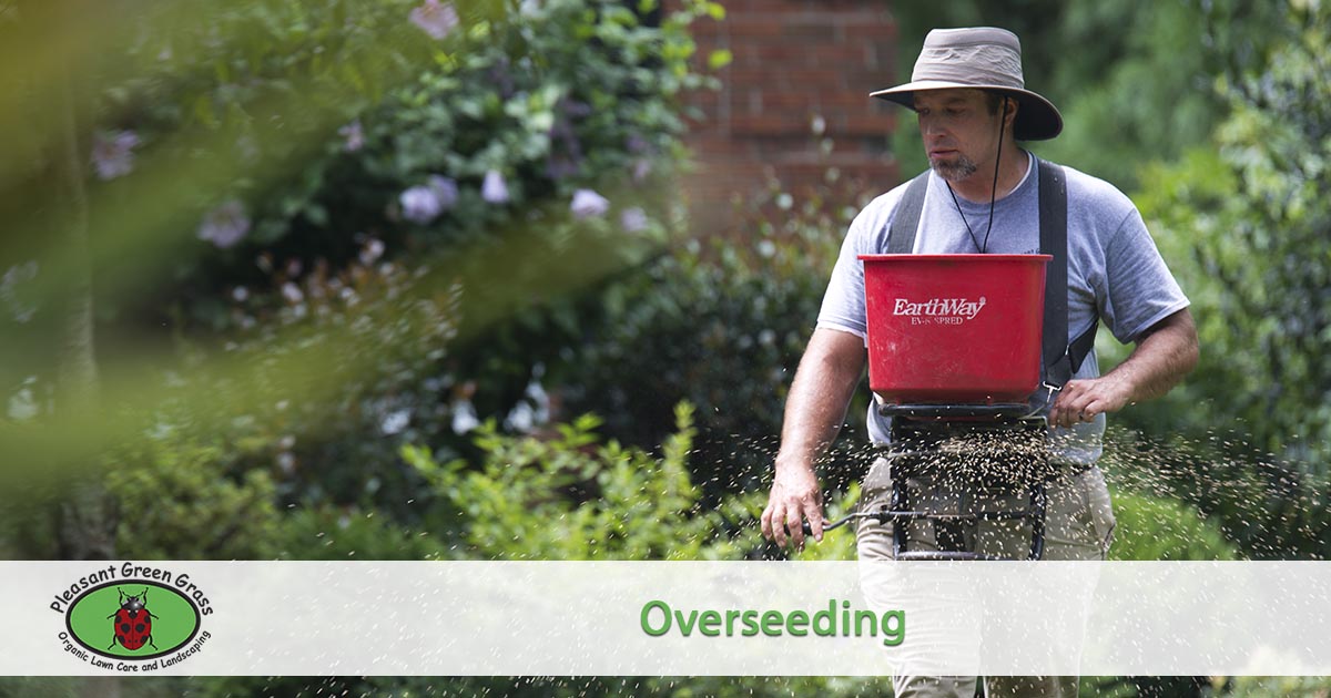 Overseeding