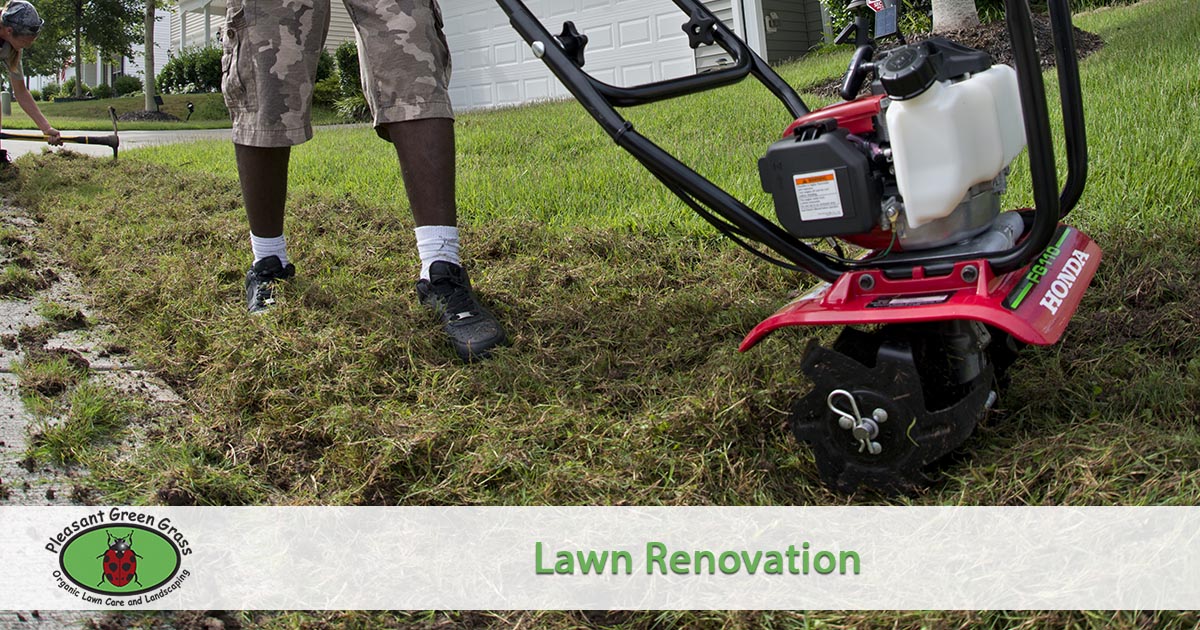 Lawn Renovation