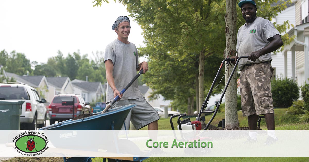 Core Aeration