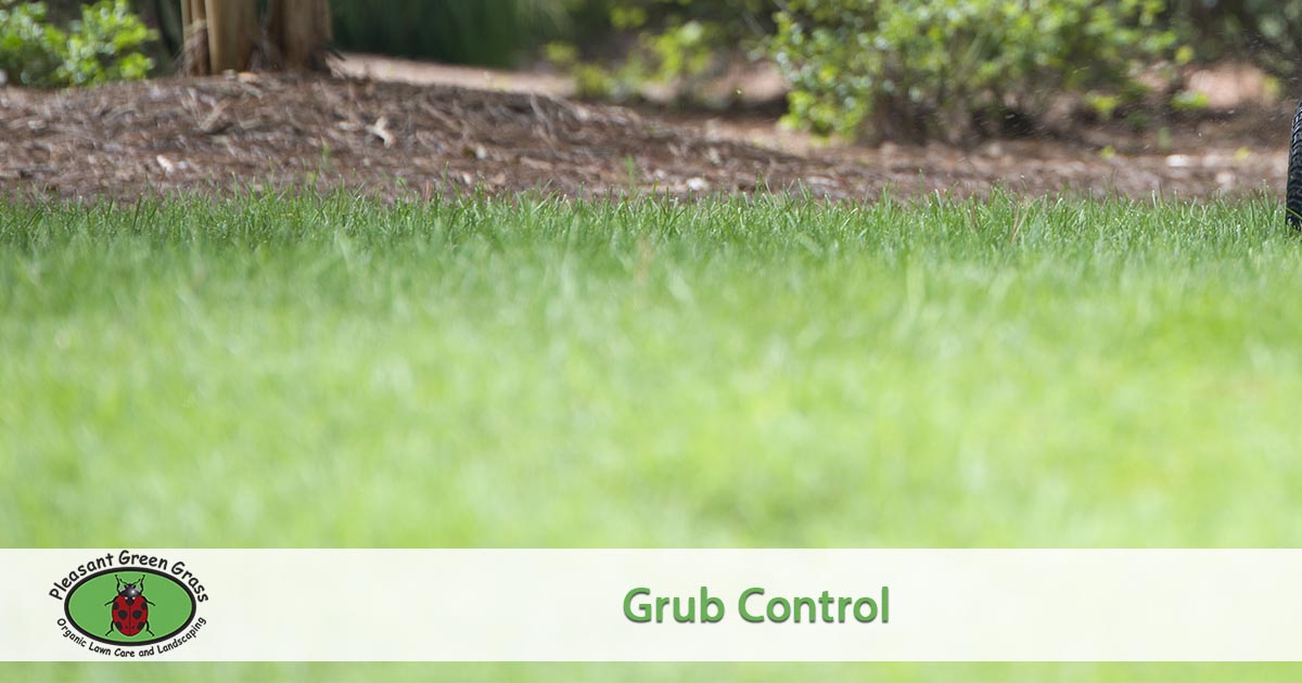 grub prevention