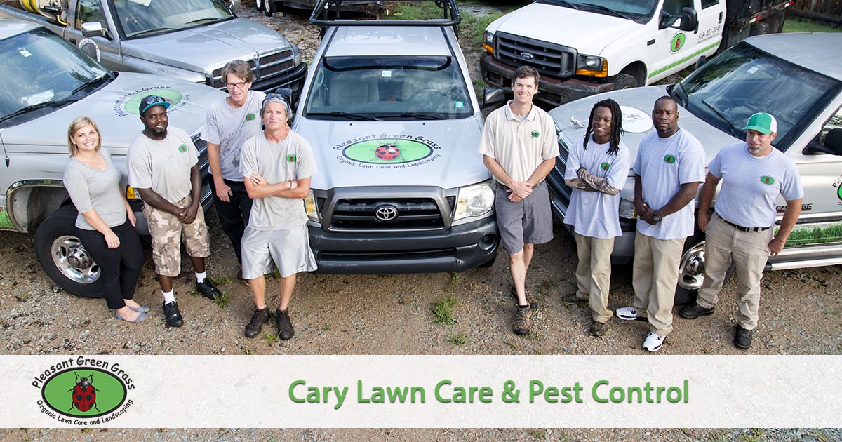 Cary Lawn Service
