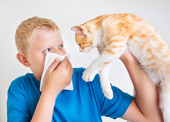 boy with pet allergies needs allergy care treatment