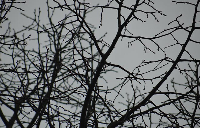 Understanding SAD and Daylight Savings Time