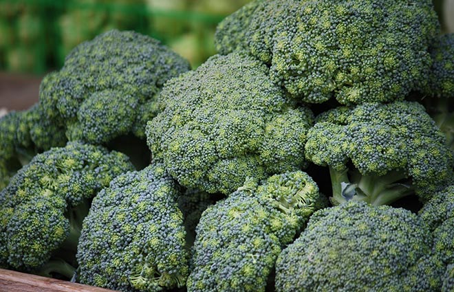 Eat Healthy with These 9 Superfoods!
