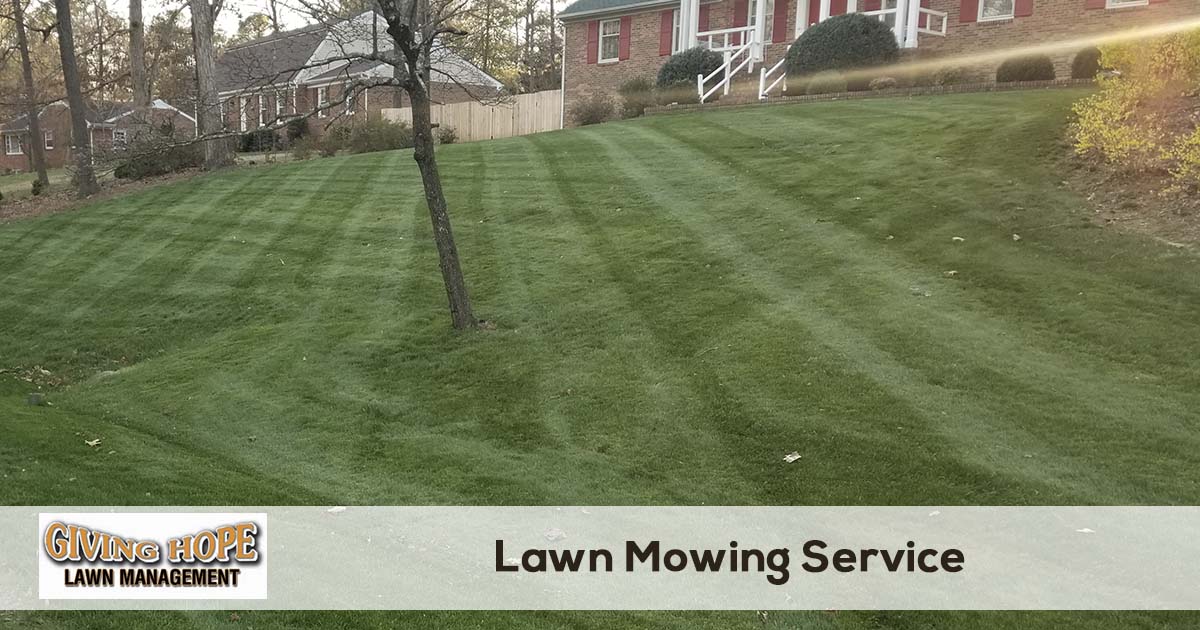 Lawn Mowing Service