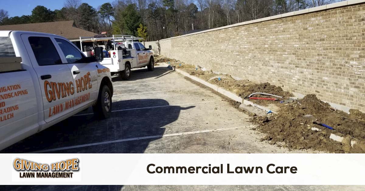 lawn care for business