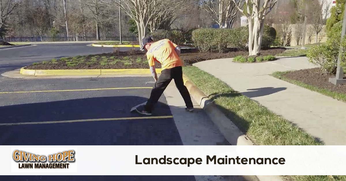 landscape maintenance company