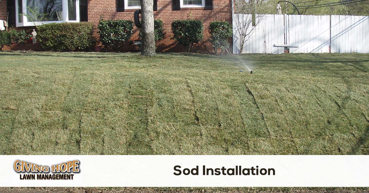 Sod Installation