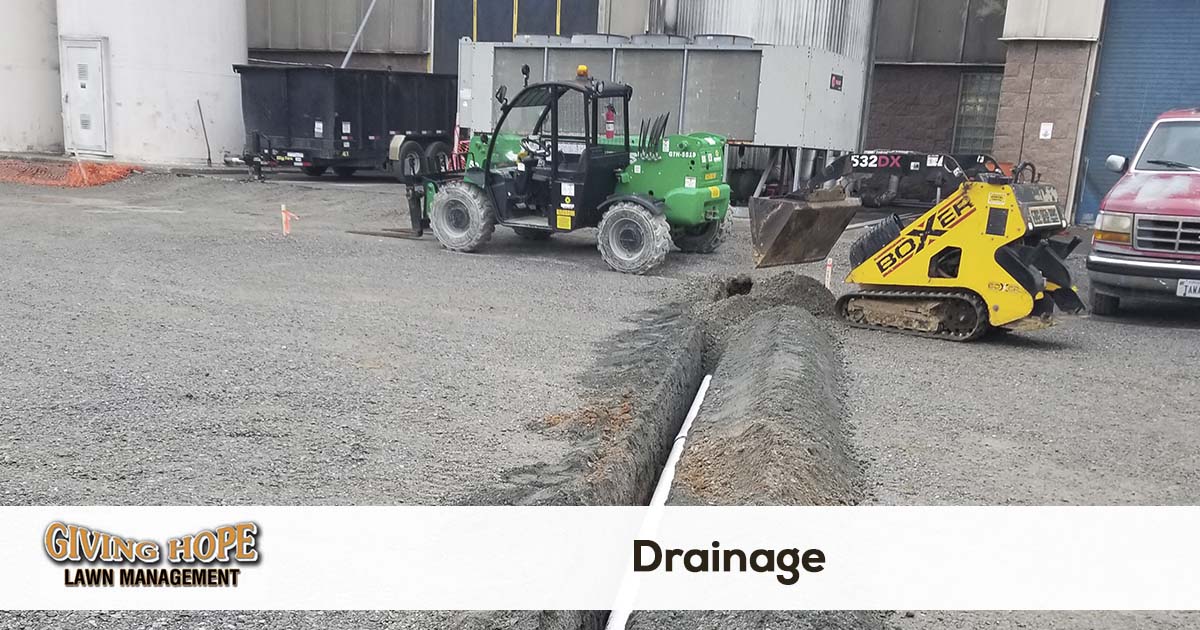 French Drain