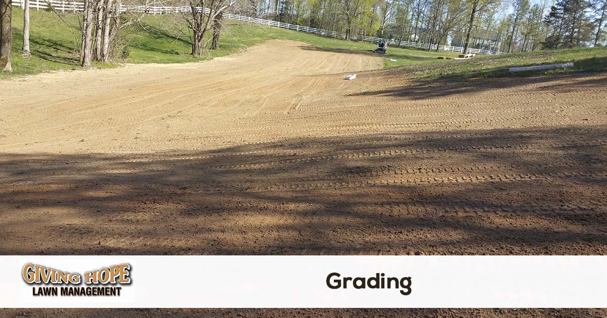 finish grading and sod installation