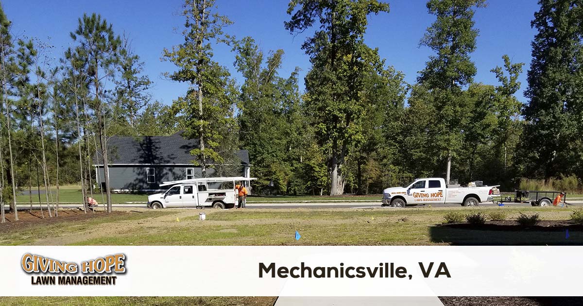 Mechanicsville lawn service