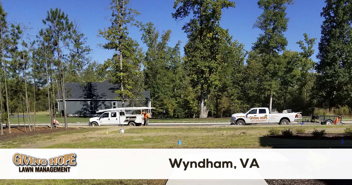 Wyndham lawn service