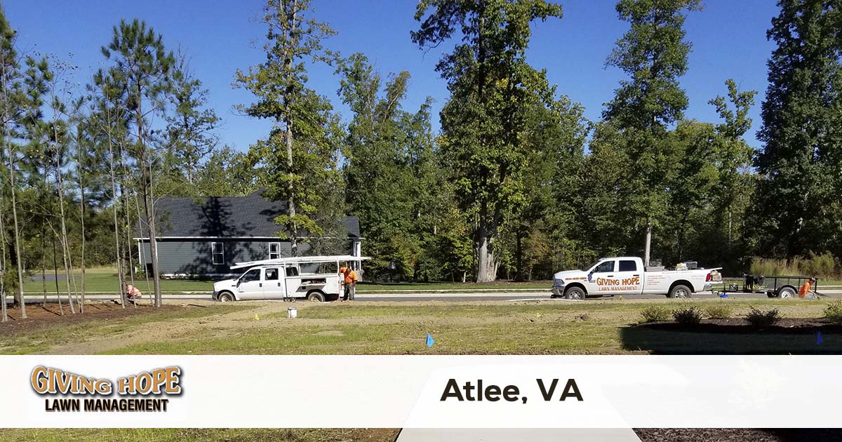 Atlee lawn service