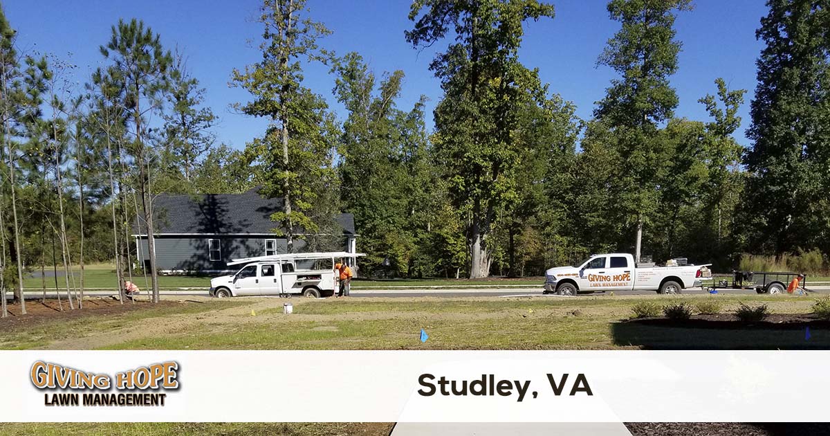 Studley lawn service