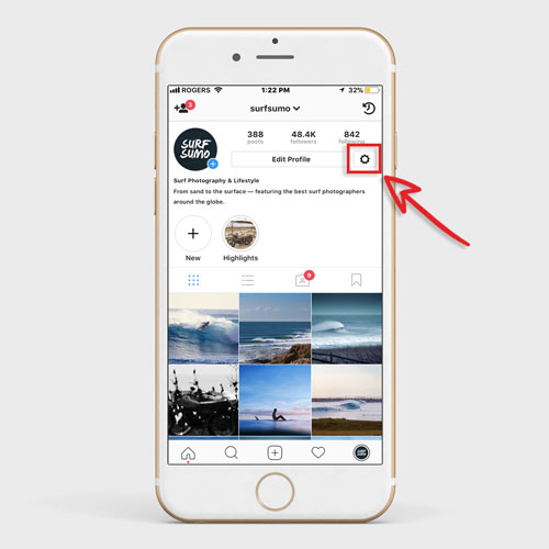 Instagram Settings Button
