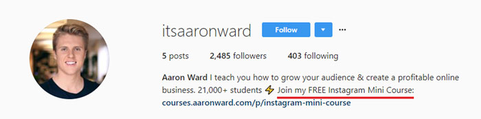 Aaron Ward Instagram Bio Example