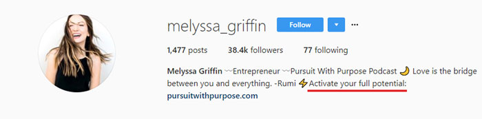 Melyssa Griffin Instagram Bio Example