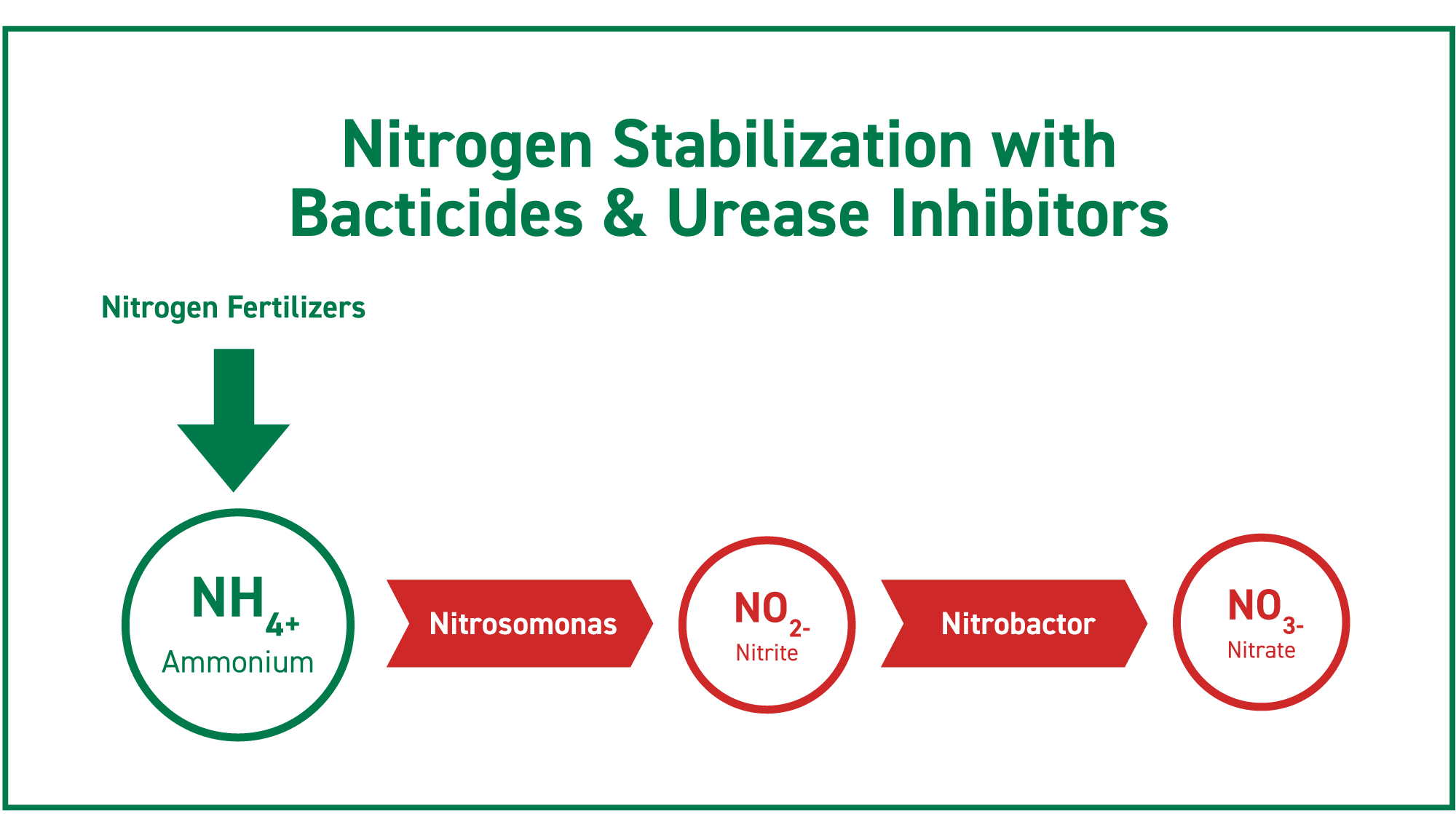 nitrogen stabilization with bacticides and urease inhibitors
