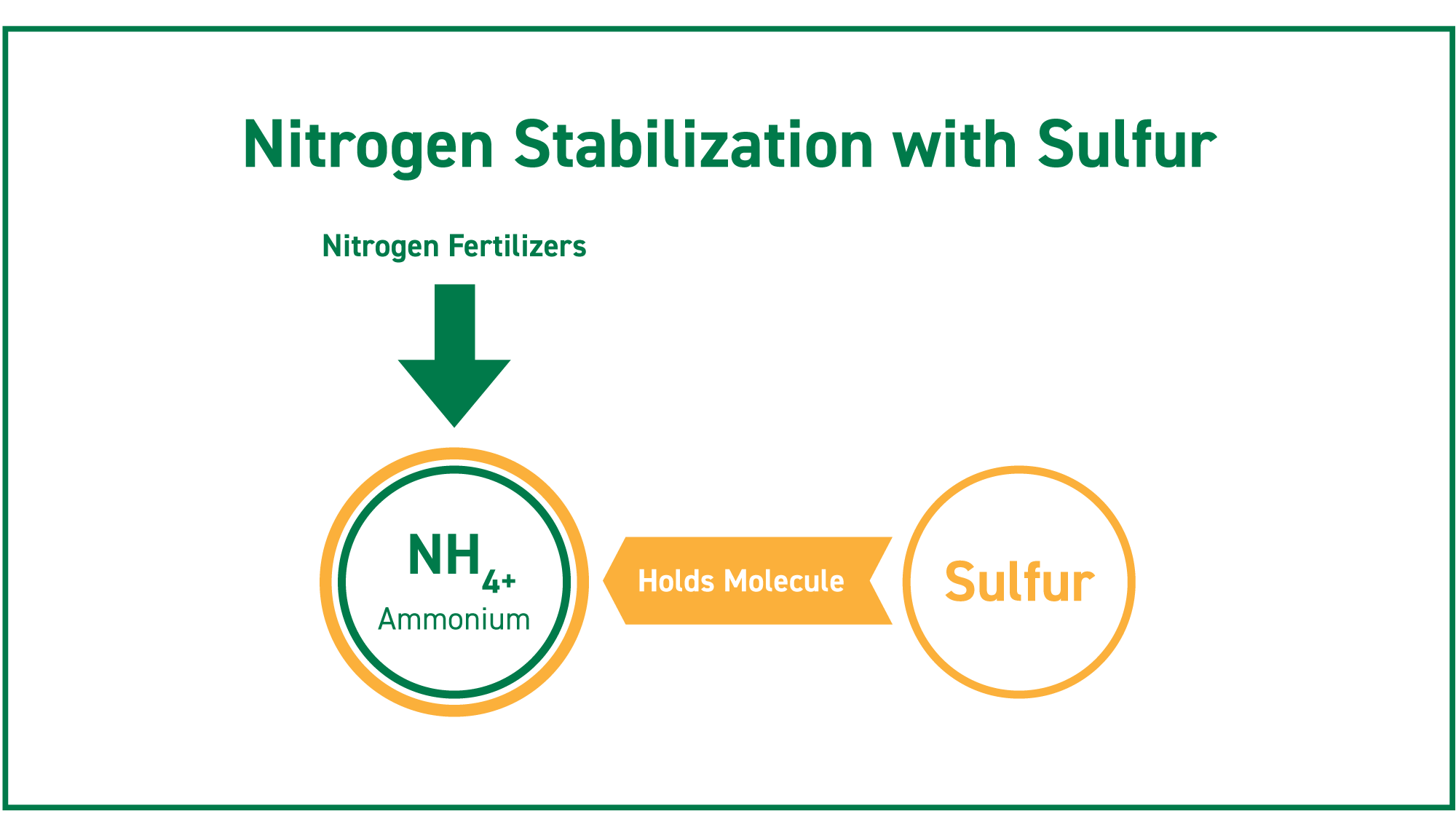 sulfur helps hold the ammonium nitrate molecule in the soil to improve nitrogen's stability