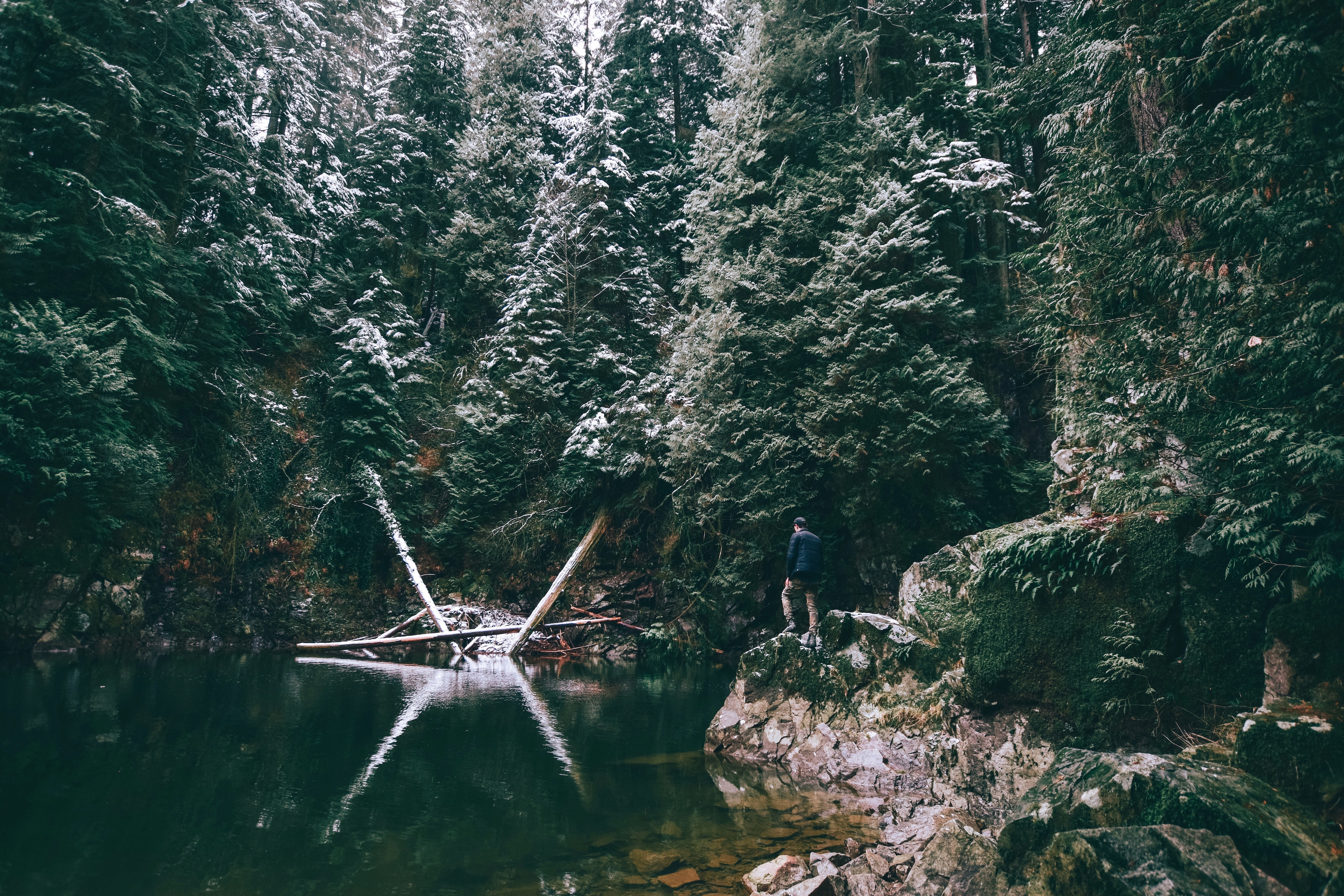 Remote Year Inspiring Places Photography Competition with Unsplash | Jeremey Allouche Forest Exploration