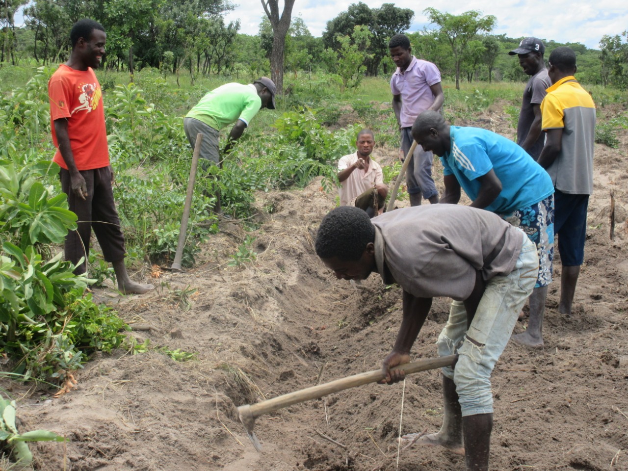 Projecto de Apoio aos Jovens Camponeses e Agricultores
