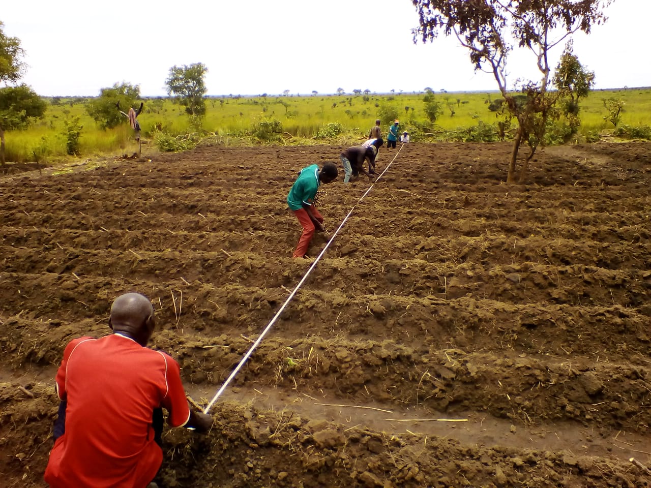 Projecto Ekoliso II (Huambo)