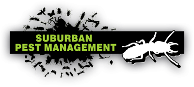 Pest Control Sunshine Coast Suburban More Info
