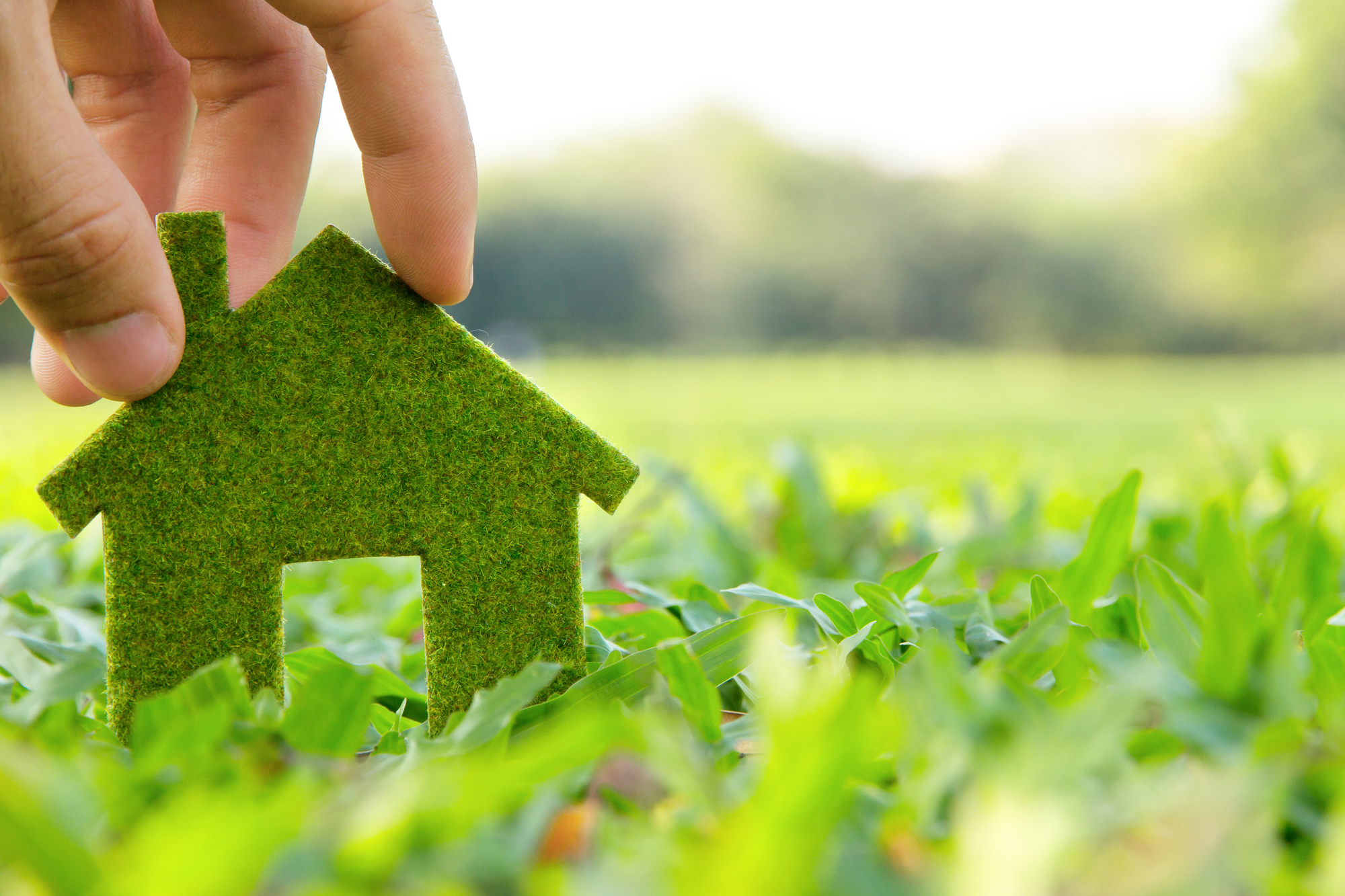 Energy efficient home