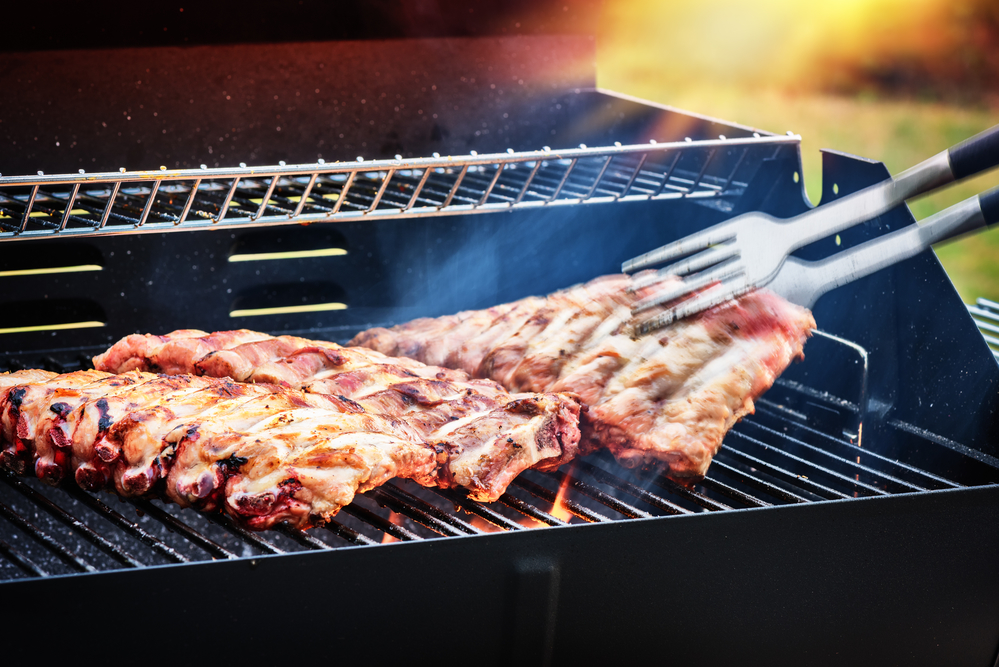 Propane gas grille