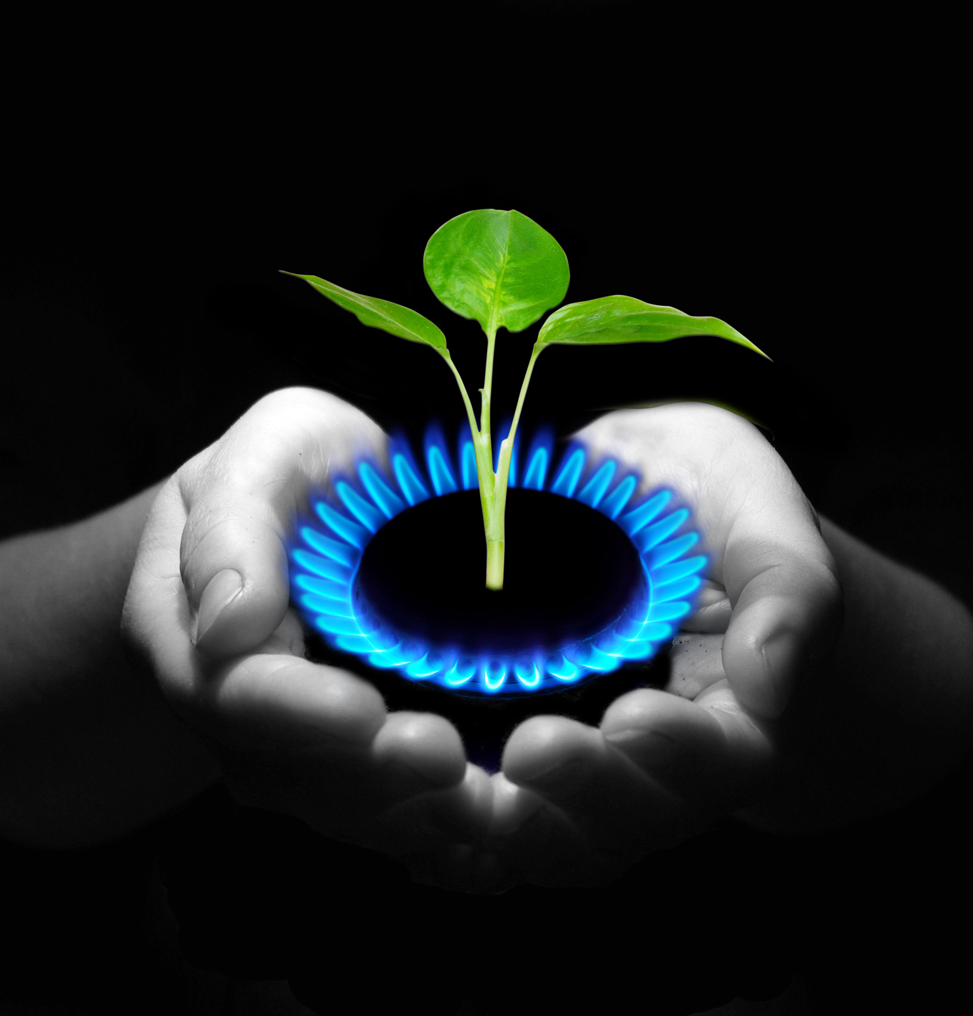 Propane gas is eco friendly