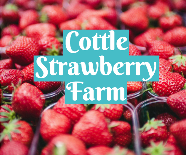 Cottle Strawberry Farm