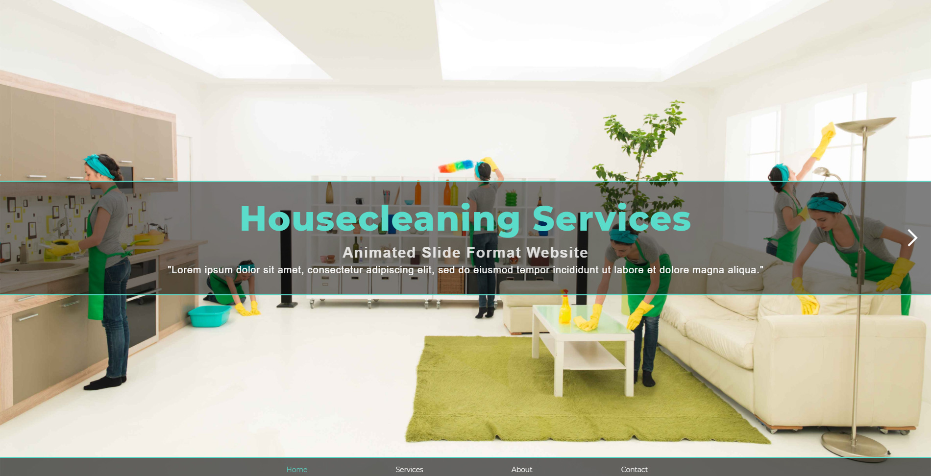 website 9 image