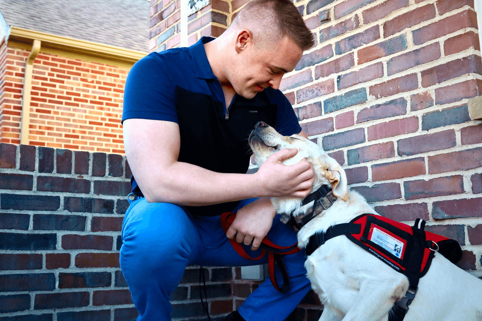 Cincinnati Dog Obedience Training DOG