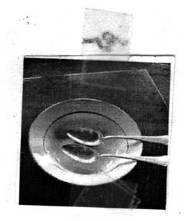 plate spoons
