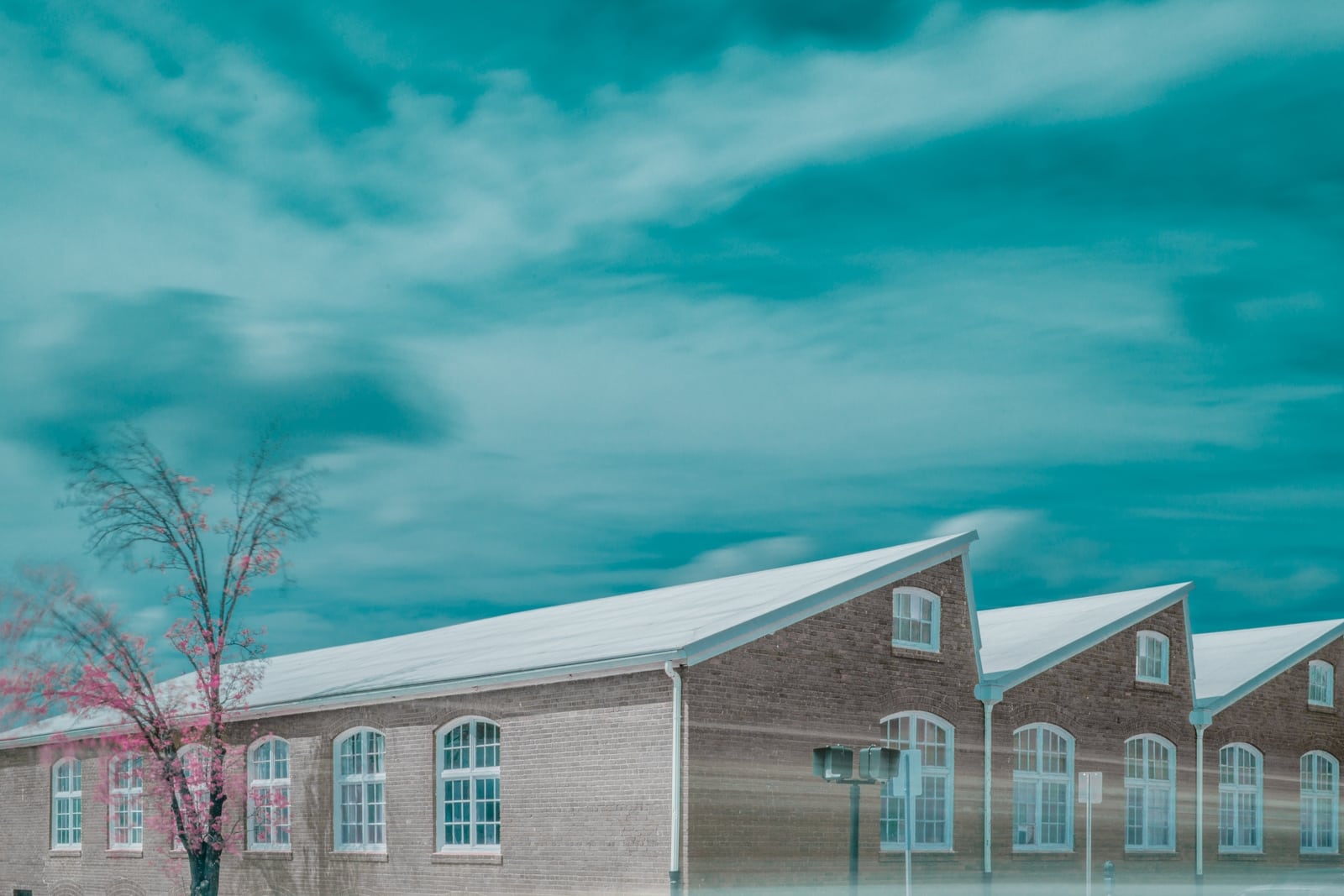 Sawtooth School for Visual Art Albert Kahn Micah Brown Media