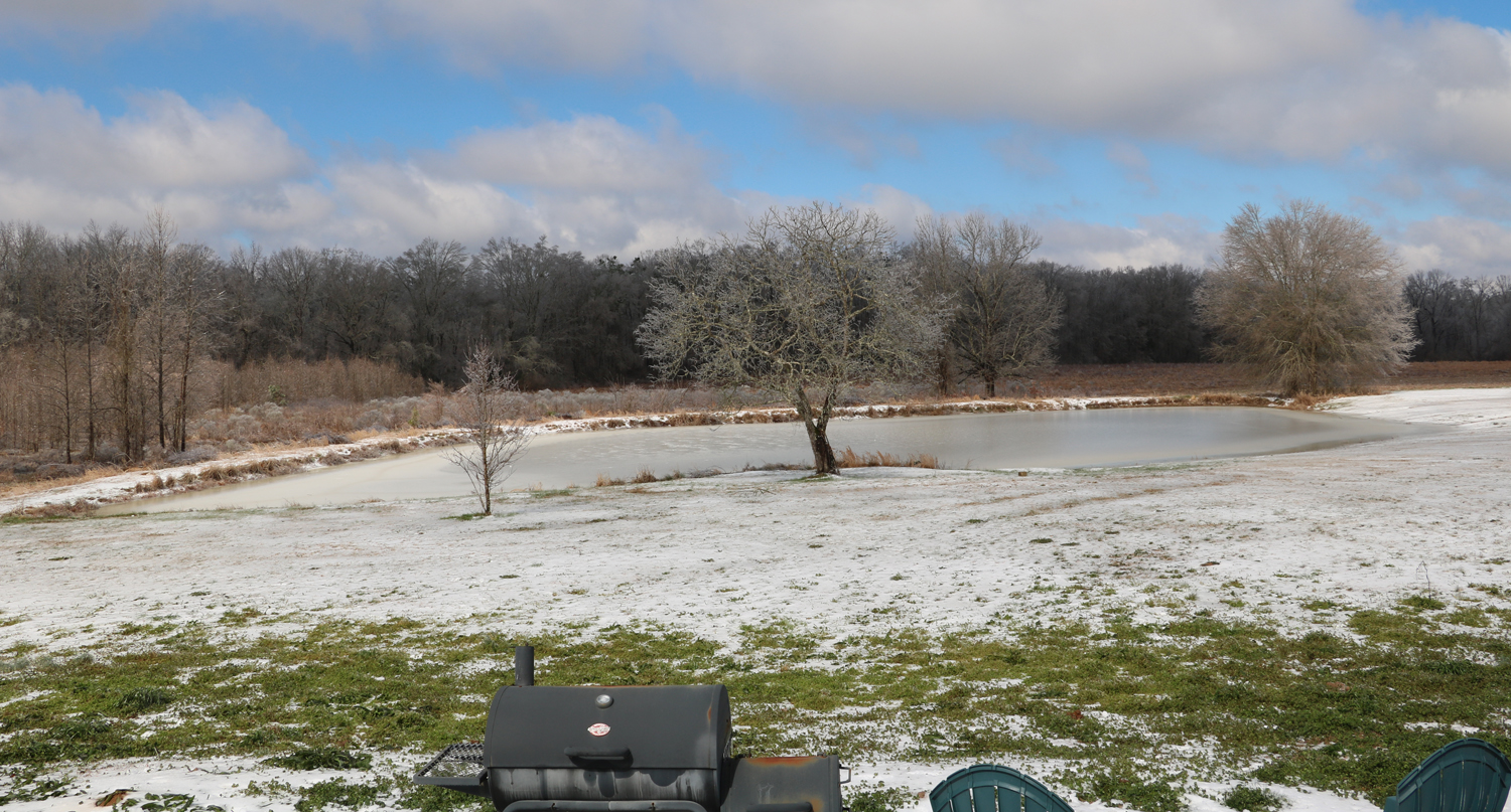 Do Frozen Ponds = Frozen Fish?