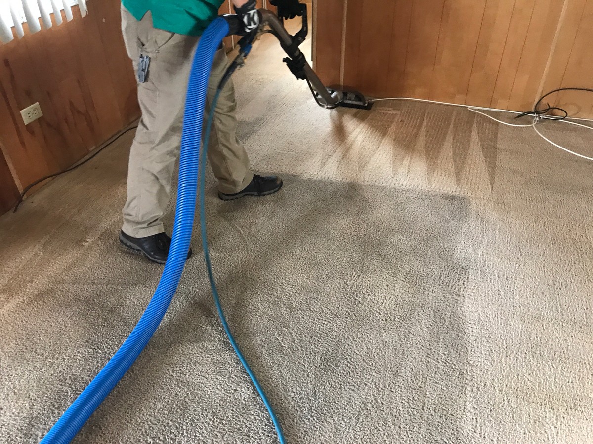 Carpet Cleaning Company in Beaumont Beyond Clean