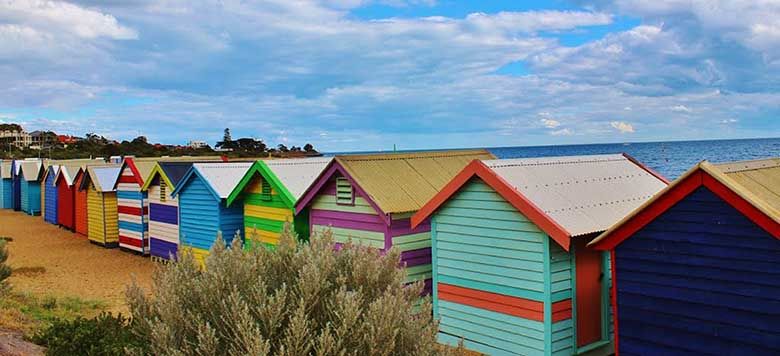 Termite Inspections for Sunshine Coast Homes