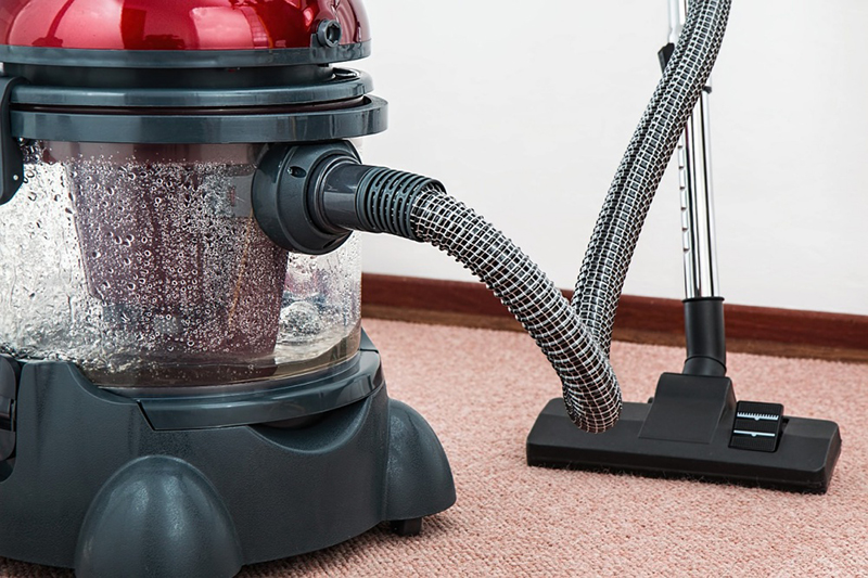 vacuum cleaner carpet moths