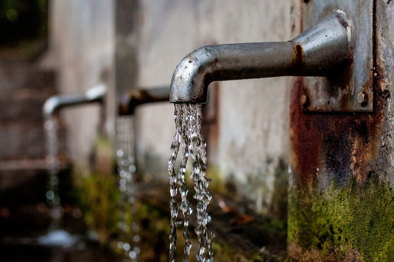 termites and water