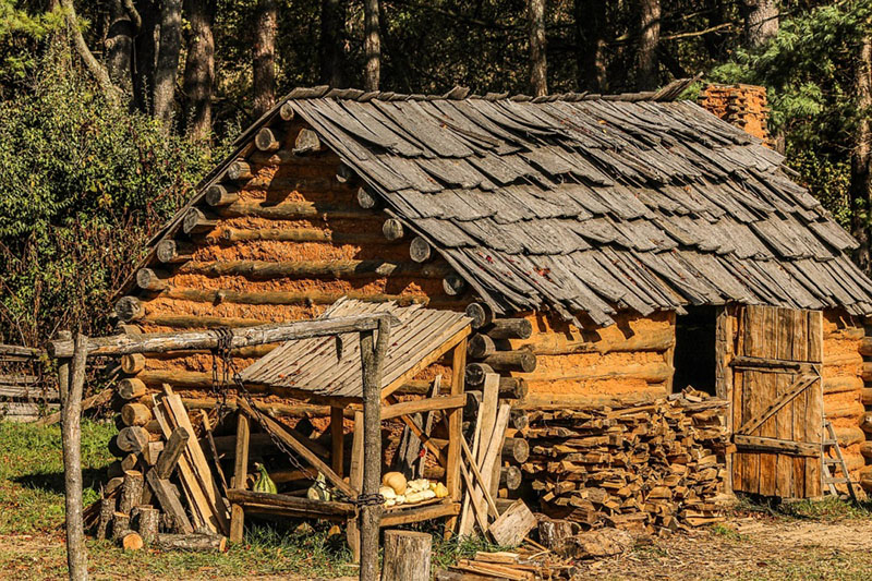 wooden structure and termites