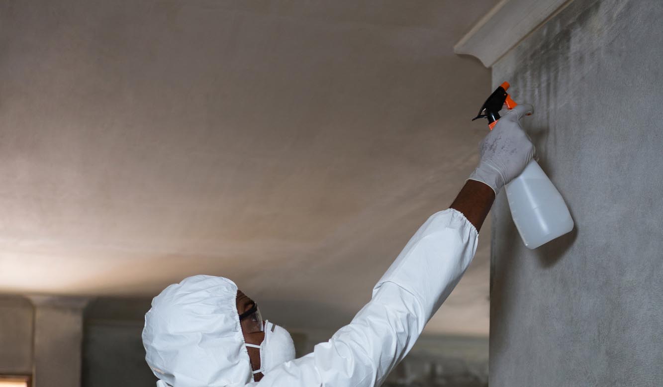 Termite barrier treatment costs for new construction