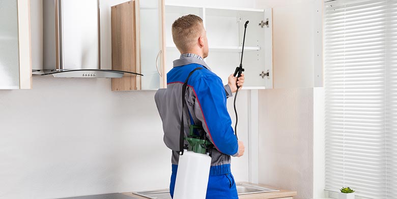 Termite baits keep your house clean
