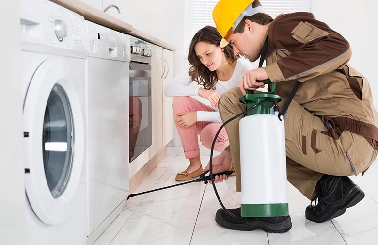 Don’t go cheap on pest control prices